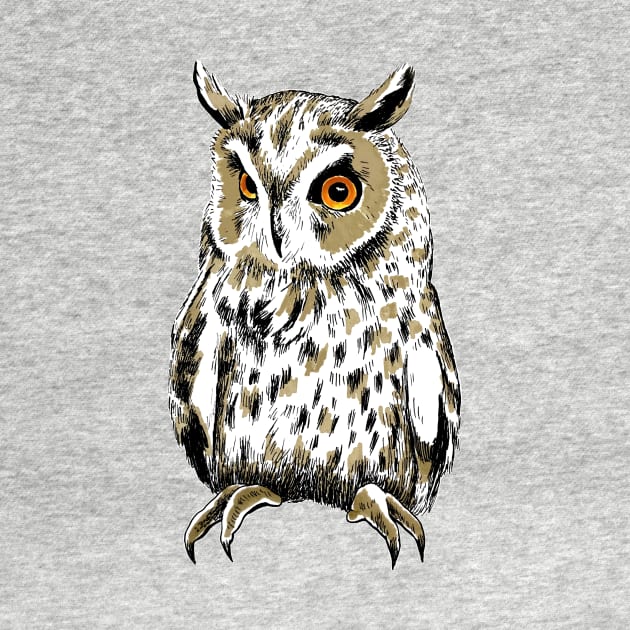 Owl by Perezart99